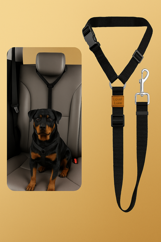 Luxe™ 2-in-1 Dog Leash & Car Seatbelt Set – Adjustable Nylon Harness Collar + Complimentary Waste Bag